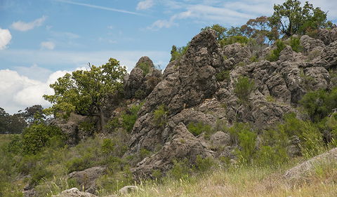 Verandah Cave - Holiday Great Ocean Road 0