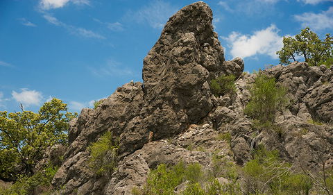 Verandah Cave - Holiday Great Ocean Road 2