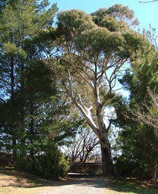 Habitat Vineyard - Holiday Great Ocean Road 1