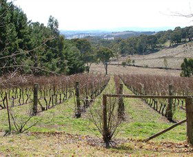 Habitat Vineyard - Holiday Great Ocean Road 0