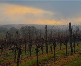 Bloodwood Estate - Holiday Great Ocean Road 1