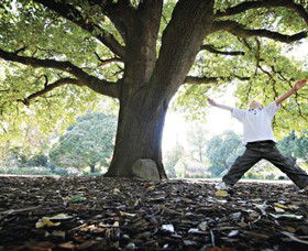Albury Botanic Gardens - Holiday Great Ocean Road 1