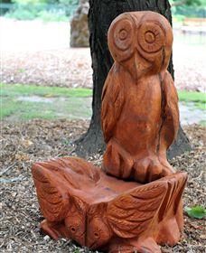 Albury Botanic Gardens - Holiday Great Ocean Road 7