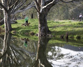 Albury - Murray River Precinct - Holiday Great Ocean Road 3