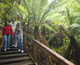 Otway Fly Treetop Adventures - Holiday Great Ocean Road 0