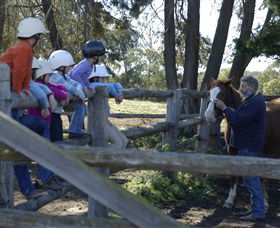 Harlow Park Horse Riding - Holiday Great Ocean Road 0