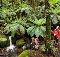 Baw Baw National Park - Holiday Great Ocean Road