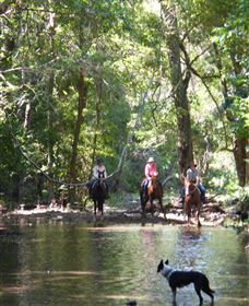 Springvale Horse Treks - Holiday Great Ocean Road 2