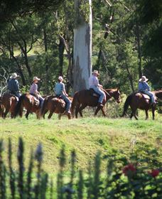 Springvale Horse Treks - Holiday Great Ocean Road 1