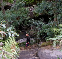 Leura Cascades Fern Bower - Holiday Great Ocean Road