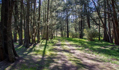 Wombeyan Waterfall Walking Track - Holiday Great Ocean Road 0