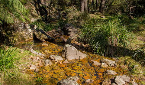 Wombeyan Waterfall Walking Track - Holiday Great Ocean Road 1