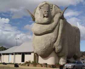 Big Merino - Holiday Great Ocean Road 0