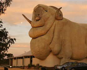 Big Merino - Holiday Great Ocean Road 3