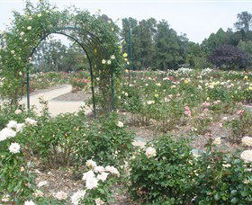Victoria Park Rose Garden - Holiday Great Ocean Road 0