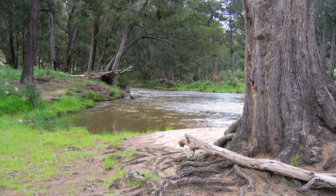 Bangadilly National Park - Holiday Great Ocean Road 3