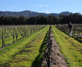 Around Hermitage Wine And Food Trail Hunter Valley - Holiday Great Ocean Road 1