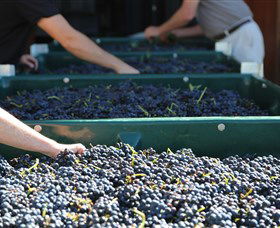 Around Hermitage Wine And Food Trail Hunter Valley - Holiday Great Ocean Road 6