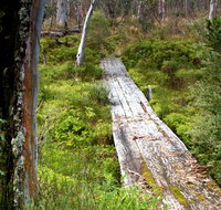 Gloucester Tops circuit - Holiday Great Ocean Road