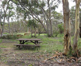 Box Vale Picnic Area - Holiday Great Ocean Road 2