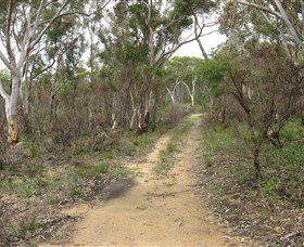 Box Vale Picnic Area - Holiday Great Ocean Road 4