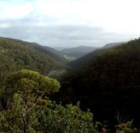 Nattai Gorge Lookout - Holiday Great Ocean Road