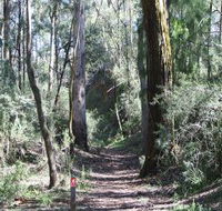 Box Vale Mine Walking Track and Lookout - Holiday Great Ocean Road