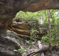 Cave Creek Walking Track - Holiday Great Ocean Road