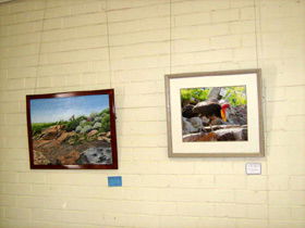 Maryborough Art Society Inc. - Holiday Great Ocean Road 2