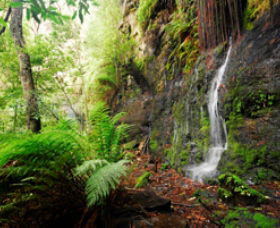 Fairy Bower Falls - Holiday Great Ocean Road 0