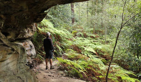 Dharug National Park - Holiday Great Ocean Road 0