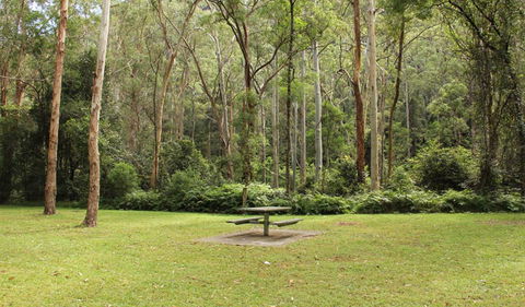 Dharug National Park - Holiday Great Ocean Road 3