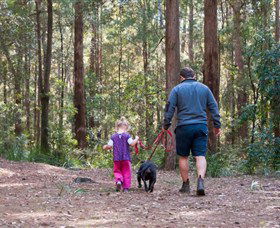 Olney State Forest - Watagan Mountains - Holiday Great Ocean Road 0
