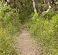 Three Views walking track - Holiday Great Ocean Road