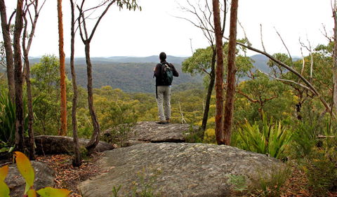 Mount Olive Lookout - Holiday Great Ocean Road 1