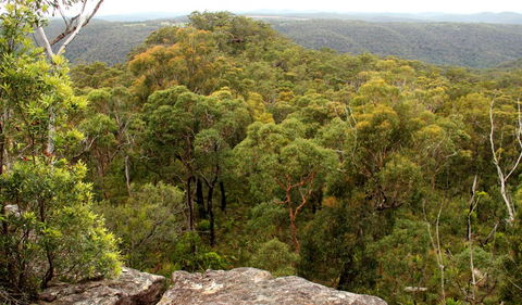 Mount Olive Lookout - Holiday Great Ocean Road 0