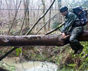 Bear Grylls Survival Academy - Holiday Great Ocean Road 5