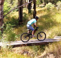 The Steps Mountain Bike Park - Holiday Great Ocean Road