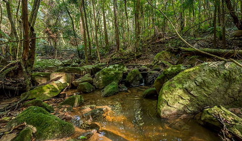 Palm Grove Nature Reserve - Holiday Great Ocean Road 0