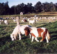 Trudgalong Farm - Holiday Great Ocean Road