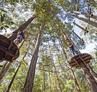 TreeTop Adventure Park Central Coast - Holiday Great Ocean Road