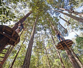 TreeTop Adventure Park Central Coast - Holiday Great Ocean Road 0