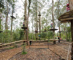TreeTop Adventure Park Central Coast - Holiday Great Ocean Road 5
