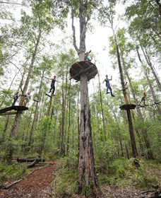 TreeTop Adventure Park Central Coast - Holiday Great Ocean Road 4