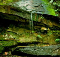 Strickland State Forest - Holiday Great Ocean Road