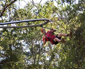 TreeTops Crazy Rider - Holiday Great Ocean Road 1