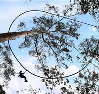 TreeTops Crazy Rider - Holiday Great Ocean Road