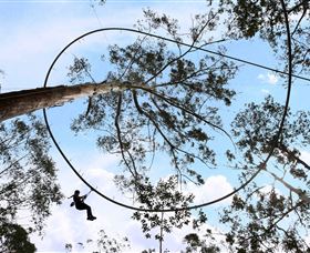 TreeTops Crazy Rider - Holiday Great Ocean Road 0