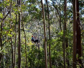 TreeTops Crazy Rider - Holiday Great Ocean Road 3
