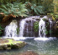 Barrington Tops National Park Walks - Holiday Great Ocean Road